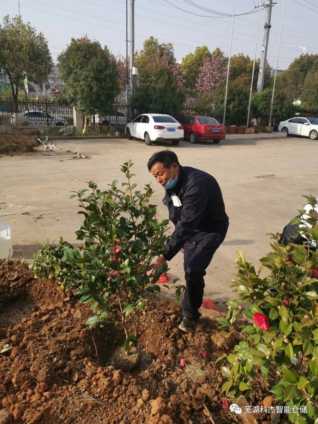 科杰公司綠化植樹