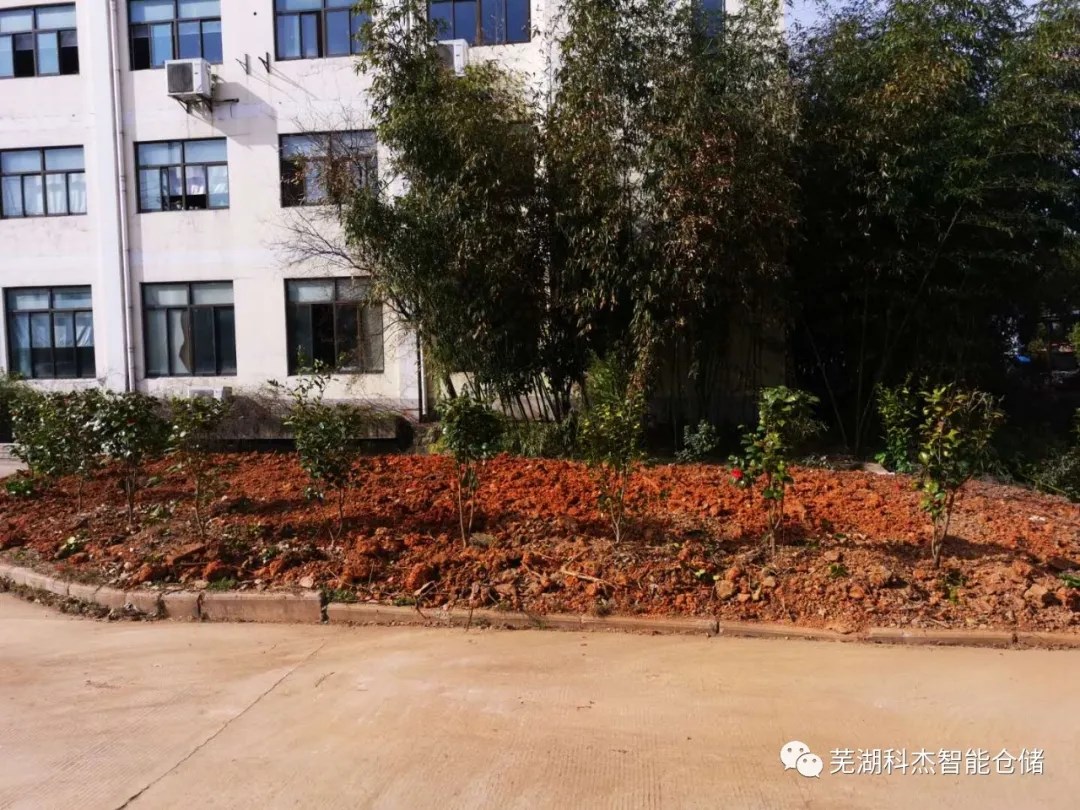 科杰廠區種植綠化全景圖
