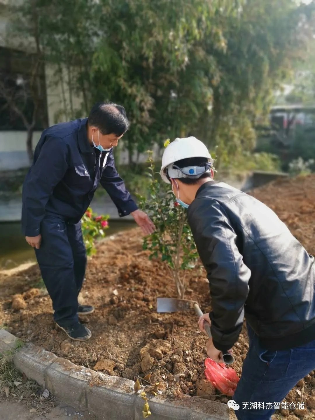 科杰公司種下小樹苗